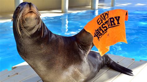 Houston Zoo animals are ready to #EarnHistory - ABC13 Houston