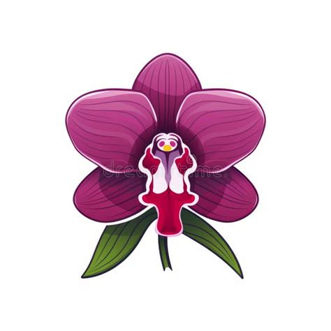 Colorful Orchid Flower Vector Cartoon Illustration Stock Illustration ...