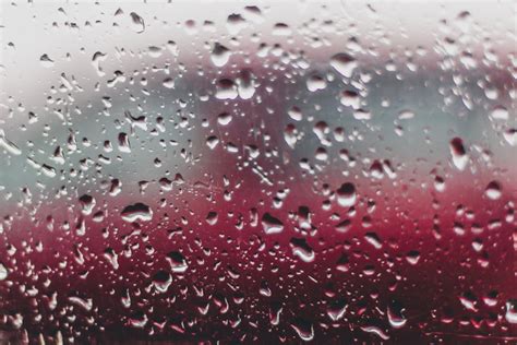 Close-Up Photo of Rain Droplets · Free Stock Photo