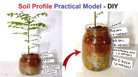 soil profile working model - practical - science project | Soil layers, Earth science projects, Soil