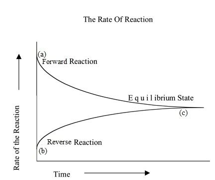 REACTION RATES AND REVERSIBLE REACTIONS - Chemistry Notes Form 4 - EasyElimu: Learning Simplified