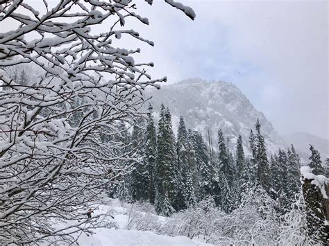 Snow Lake Trail, Washington State : r/CampingandHiking