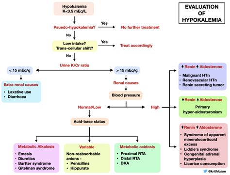 Skeleton Key Case #31: Paralyzing Potassium - Renal Fellow Network