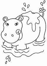 Hippo Coloring Pages  Nation sketch template