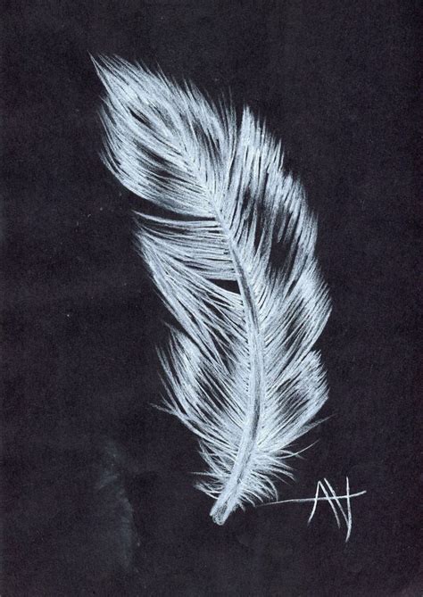 White Feather Drawing