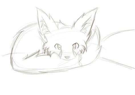 fennec fox sketch | Fox coloring page, Fox sketch, Desert fox