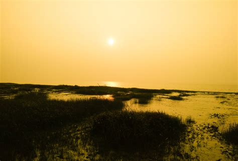 Tidal Marsh - 4160x2828 Wallpaper - teahub.io