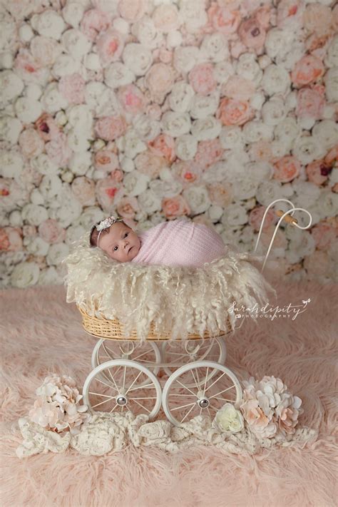 Newborn Girl Digital Background for Baby Composite Images, Floral Wall ...