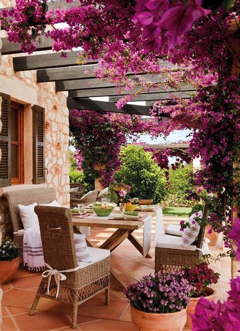 10 Bougainvillea Uses for Gardeners | Landscaping with Bougainvillea