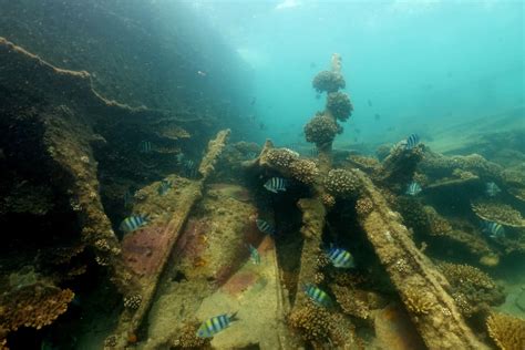 How did the Tangalooma Wrecks get to Moreton Island? - See Moreton