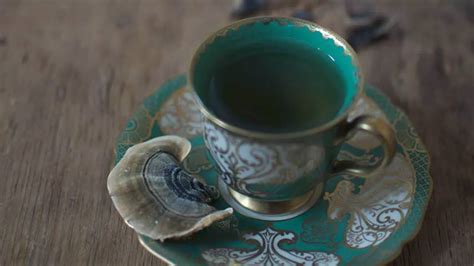 Turkey Tail Mushroom Tea: A Delicious Way to Boost Your Immune