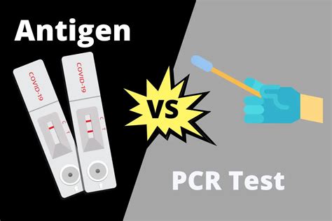 Difference Between Antigen And PCR Test | ContrastHub