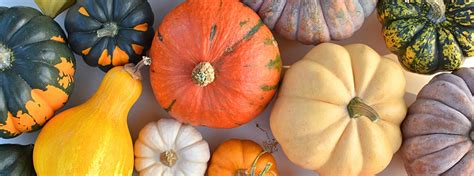 How to Make the Most of the Fall Harvest | Vitamix