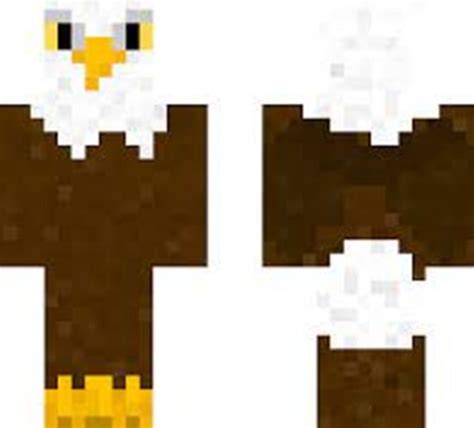 Top 5 Minecraft Bird Skins - GamersPool