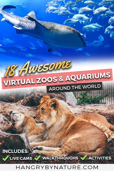 18 Fun & Educational Virtual Zoo Tours & Aquariums Online