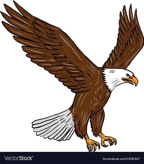 Bald eagle flying drawing Royalty Free Vector Image , #sponsored, #flying, #drawing, #Bald, # ...