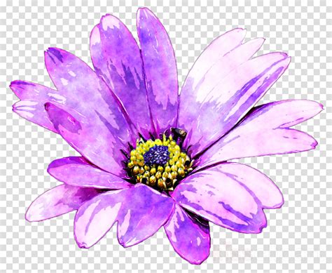 Free Violet Flower Png, Download Free Violet Flower Png png images, Free ClipArts on Clipart Library