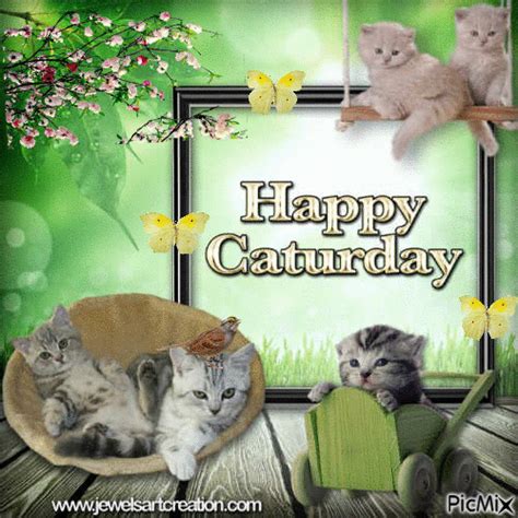 Happy Caturday with Animated Kittens