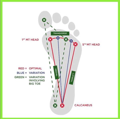 Your Foot is a Tripod | Finding Centre