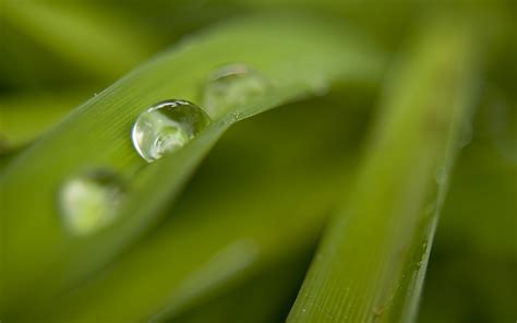 water, Droplets, Macro Wallpapers HD / Desktop and Mobile Backgrounds