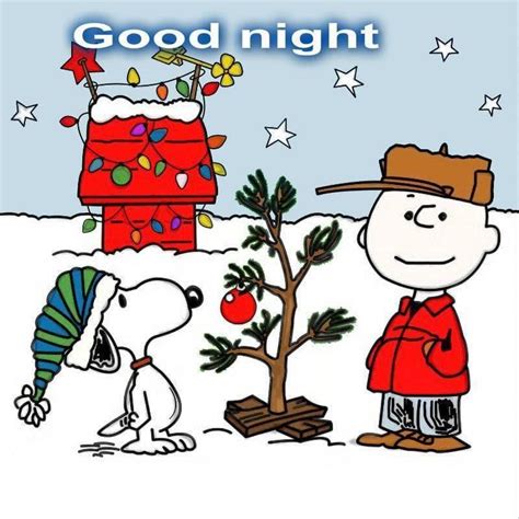 Good Night With Snoopy And Charlie Brown Pictures, Photos, and Images for Facebook, Tumblr ...