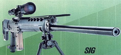 SIG SG550 Sniper - Small Arms Review