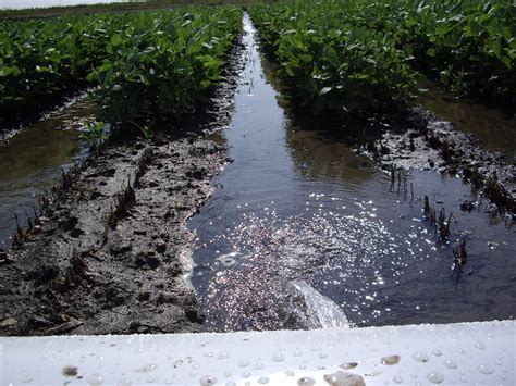 Flood Irrigation Cost Per Acre at Christopher Heflin blog