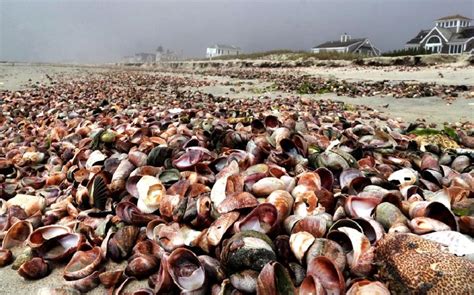 Yarmouth closed its beaches to the dismay of many residents