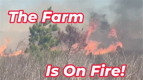 The Farm is On Fire! - YouTube