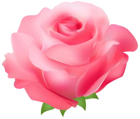 Pink Rose Clip Art - ClipArt Best