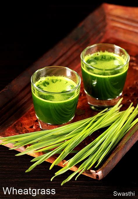 Wheatgrass Shot Recipe | Dandk Organizer