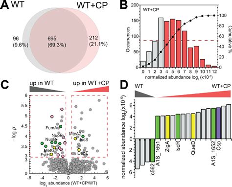 Figure 2 from Multi-metal Restriction by Calprotectin Impacts De Novo Flavin Biosynthesis in ...