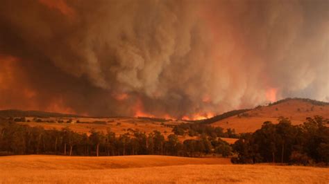 Victoria’s Bushfire Management Strategy | Engage Victoria