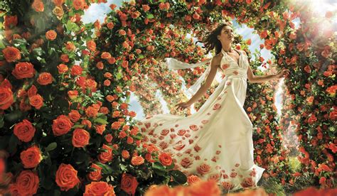 Download White Dress Brunette Orange Flower Dress Rose Flower Woman ...