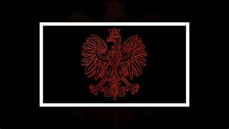 Eagle, Emblem, Poland. Free Stock Video - Pixabay