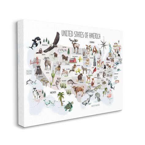 Stupell Home Décor United States of America Map of Animals Kid's Illustration, 16 x 20, Designed ...