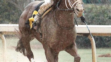 Rees | Arkansas Derby heads final points races