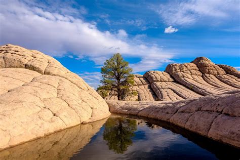 Vermillion Cliffs National Monument | Drive The Nation