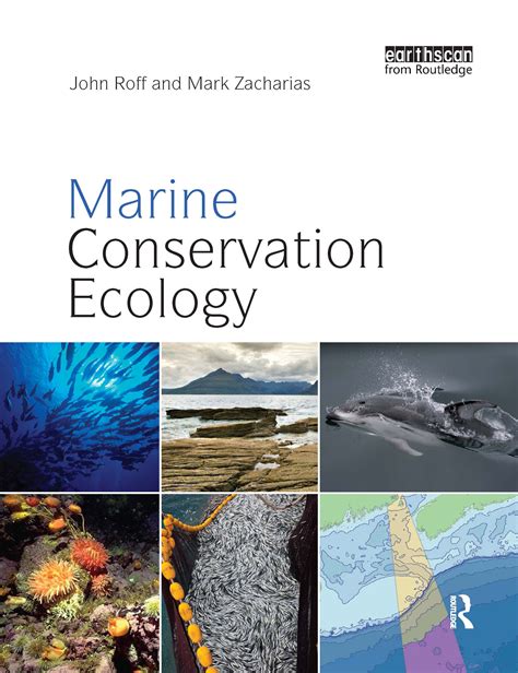 Marine conservation at the ecosystem/ habitat level | Taylor & Francis ...