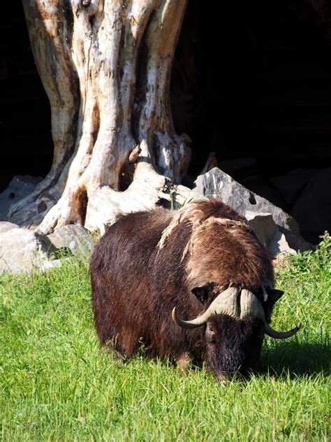 parc-omega-montebello (83) - Au goût d'Emma | Blog Belge | Voyage & Gastronomie