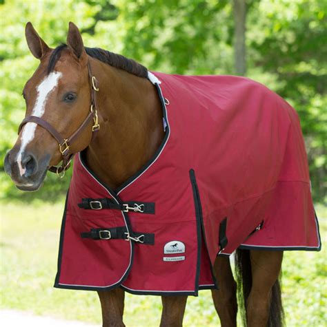 Understanding Horse Blankets and Sheets - Horseman's News