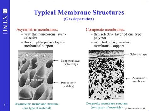 PPT - Process Integrated Membrane Separation - with Application to the Removal of CO 2 from ...