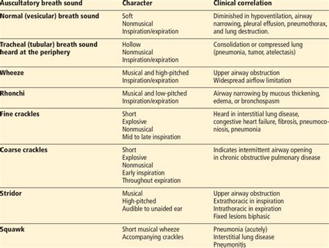 Pneumonia lung sounds