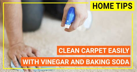 Cleaning tips: Clean carpet easily with vinegar and baking soda ...