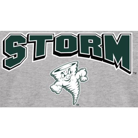 Lake Erie College Storm Proud Mascot Long Sleeve T-Shirt - Ash ...