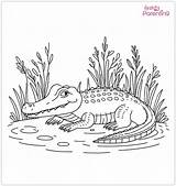 25 Alligator Coloring Pages – Free Printable Sheets And Images For  sketch template