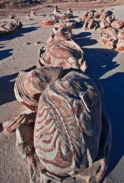 Cracked-Egg's-Bisti-Badlands-32 | Geology, Fossils, Rock formations