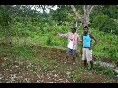 Youth club helping to keep culture alive in Accompong | News | Jamaica Star