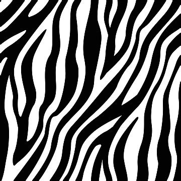 Seamless Zebra Stripe Pattern An Animal Skin Inspired Design With Elegant Lines Vector, Animal ...