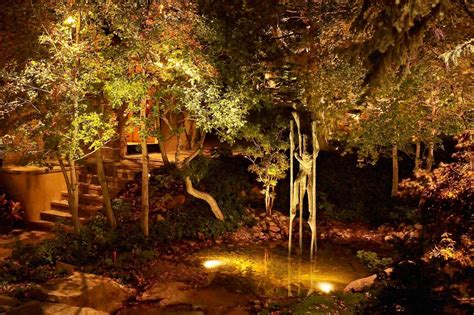 pond lighting ideas | Outdoor water feature, Water features, Pond